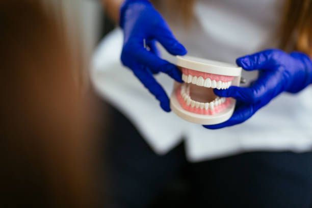 Best Dental Exams and Cleanings  in Albion, PA